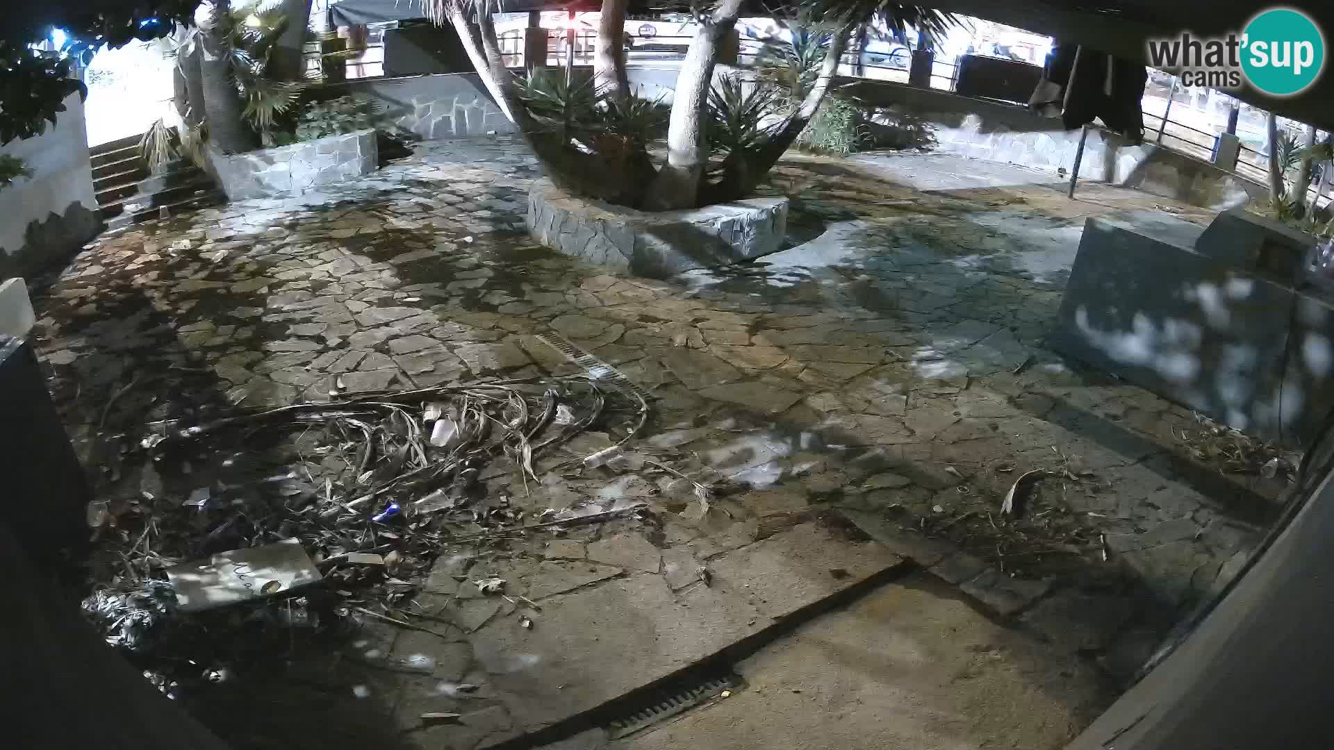 Lloret de Mar – Dr. Döner