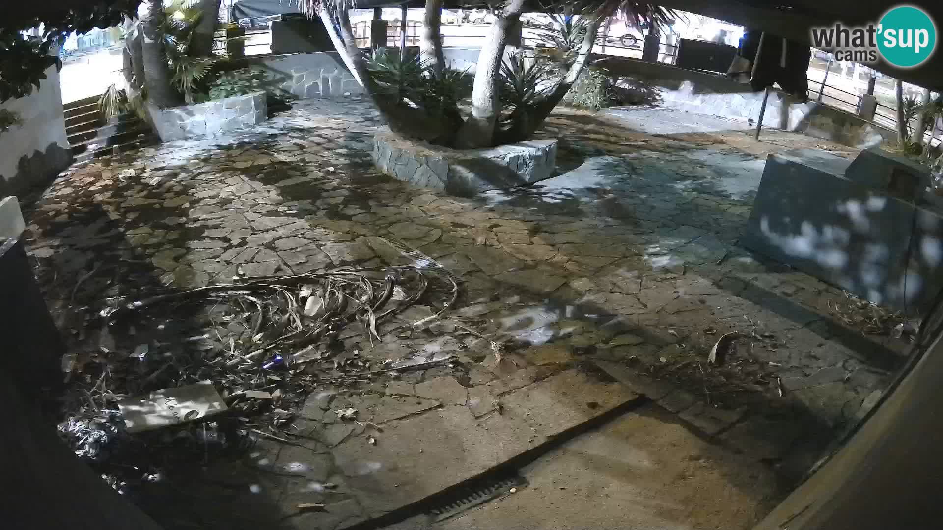 Lloret de Mar – Dr. Döner