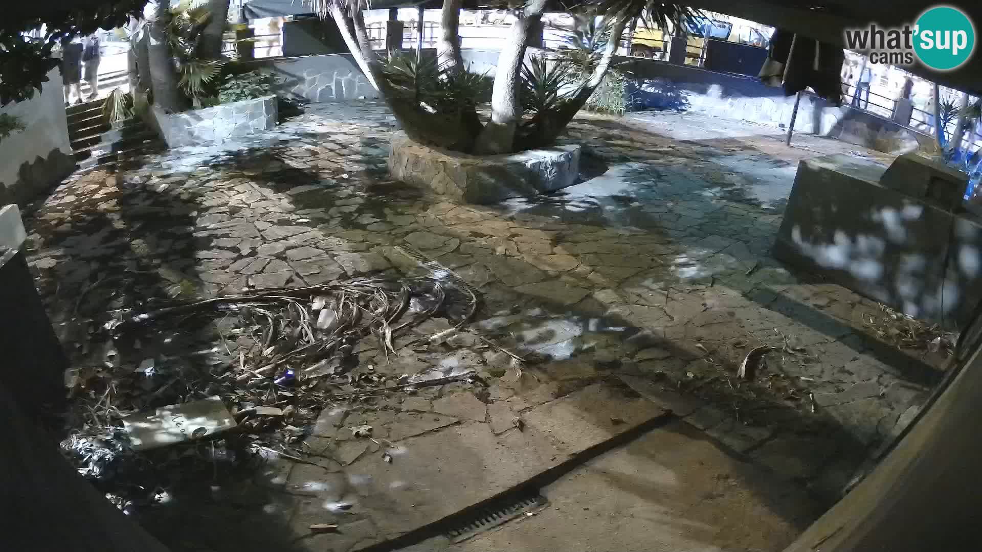 Lloret de Mar – Dr. Döner