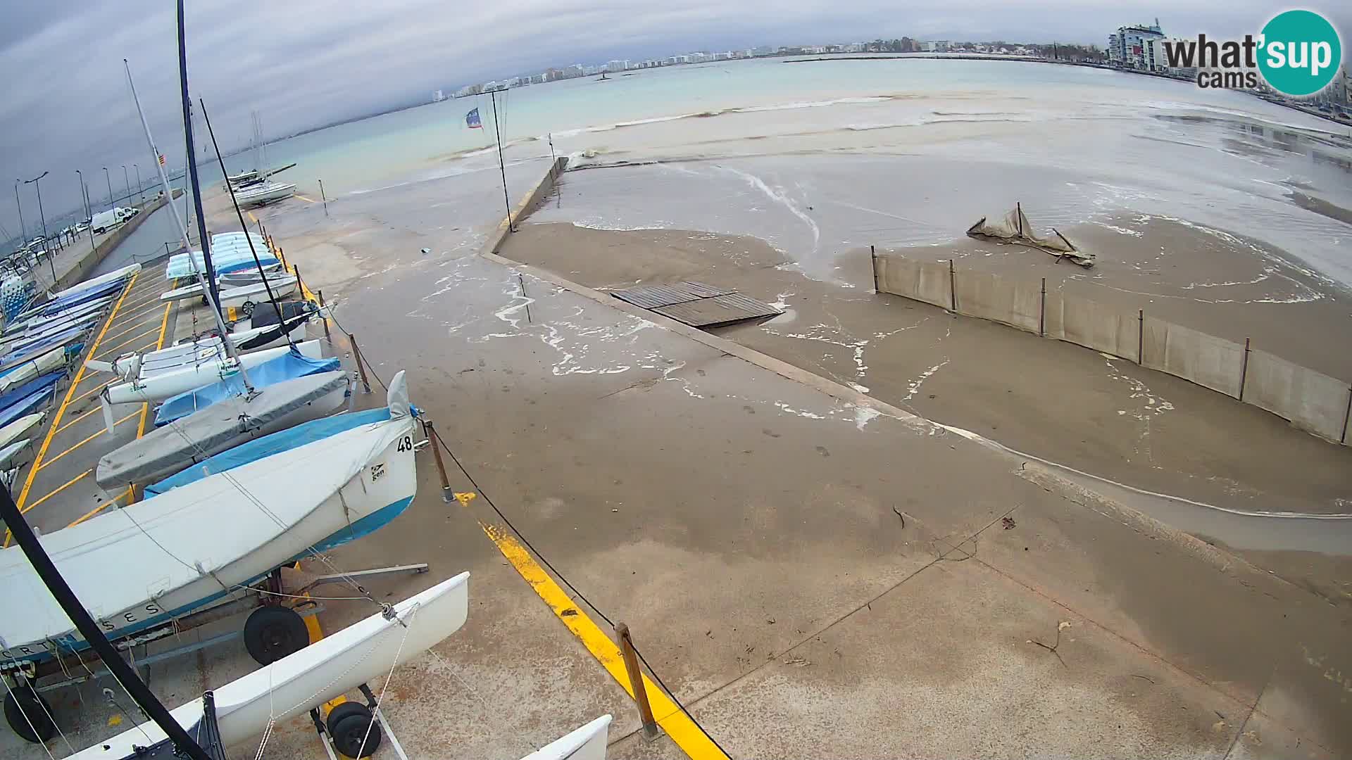 Roses cams WhatsUpCams LIVE streaming