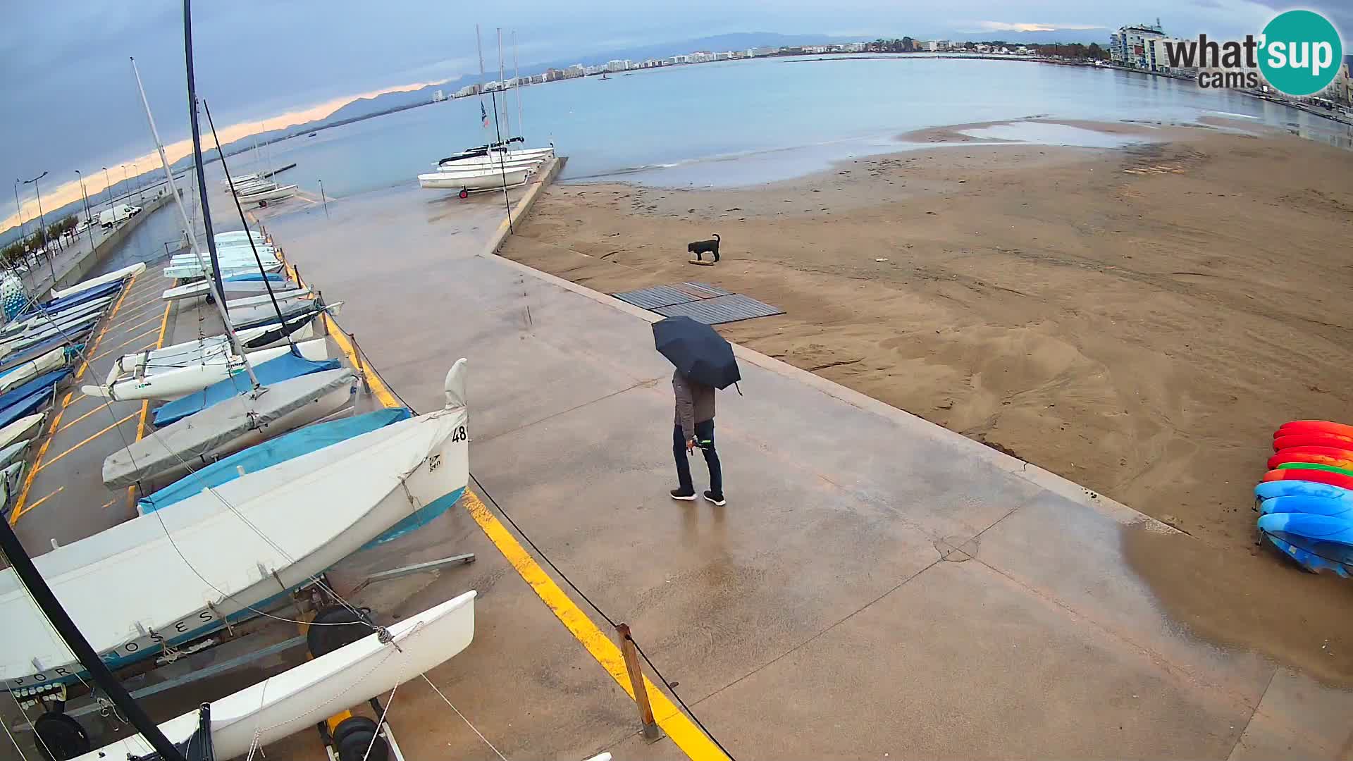 Webcam porto di Roses – Costa Brava – spiaggia La Perola