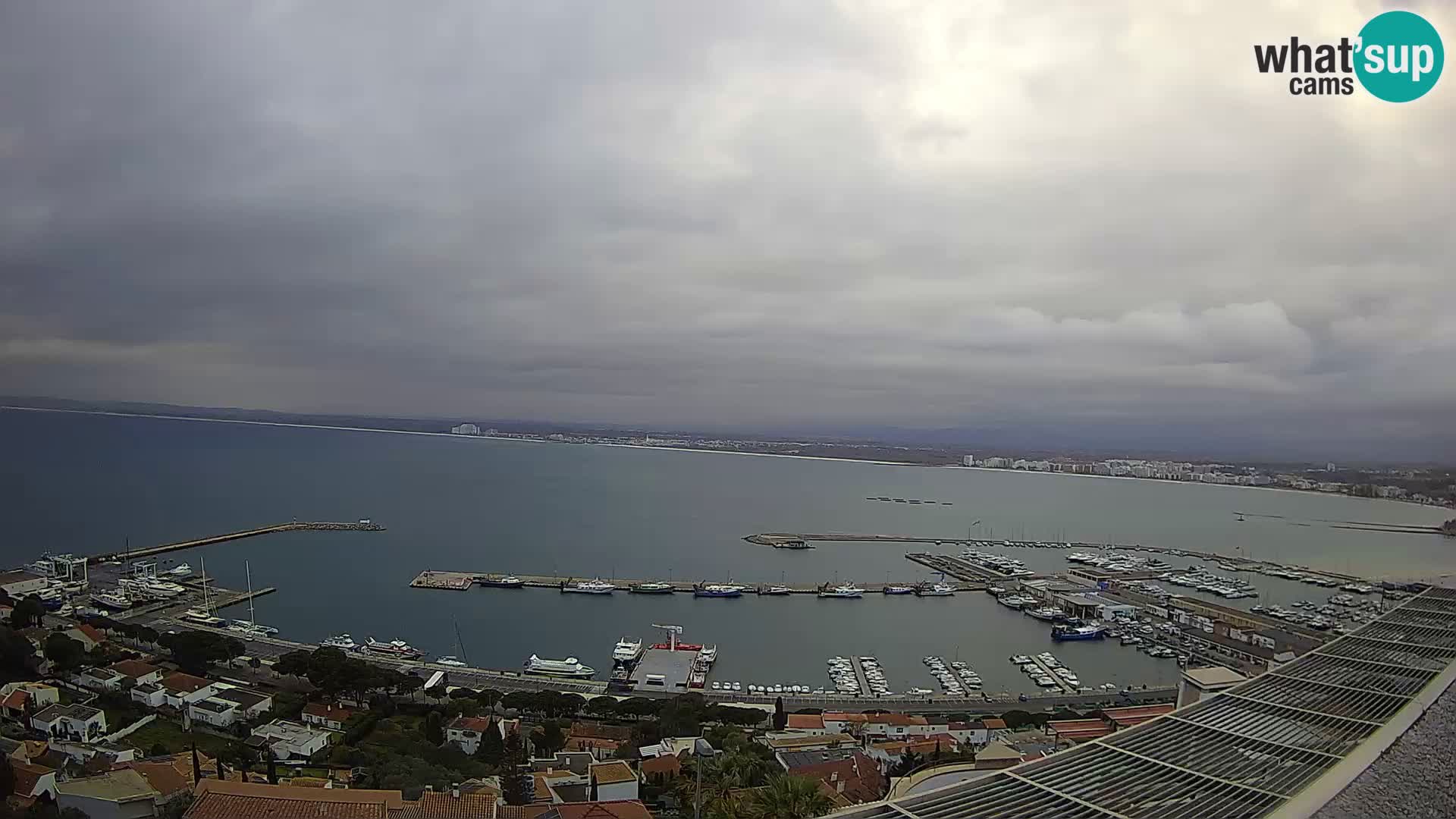 Roses cams WhatsUpCams LIVE streaming