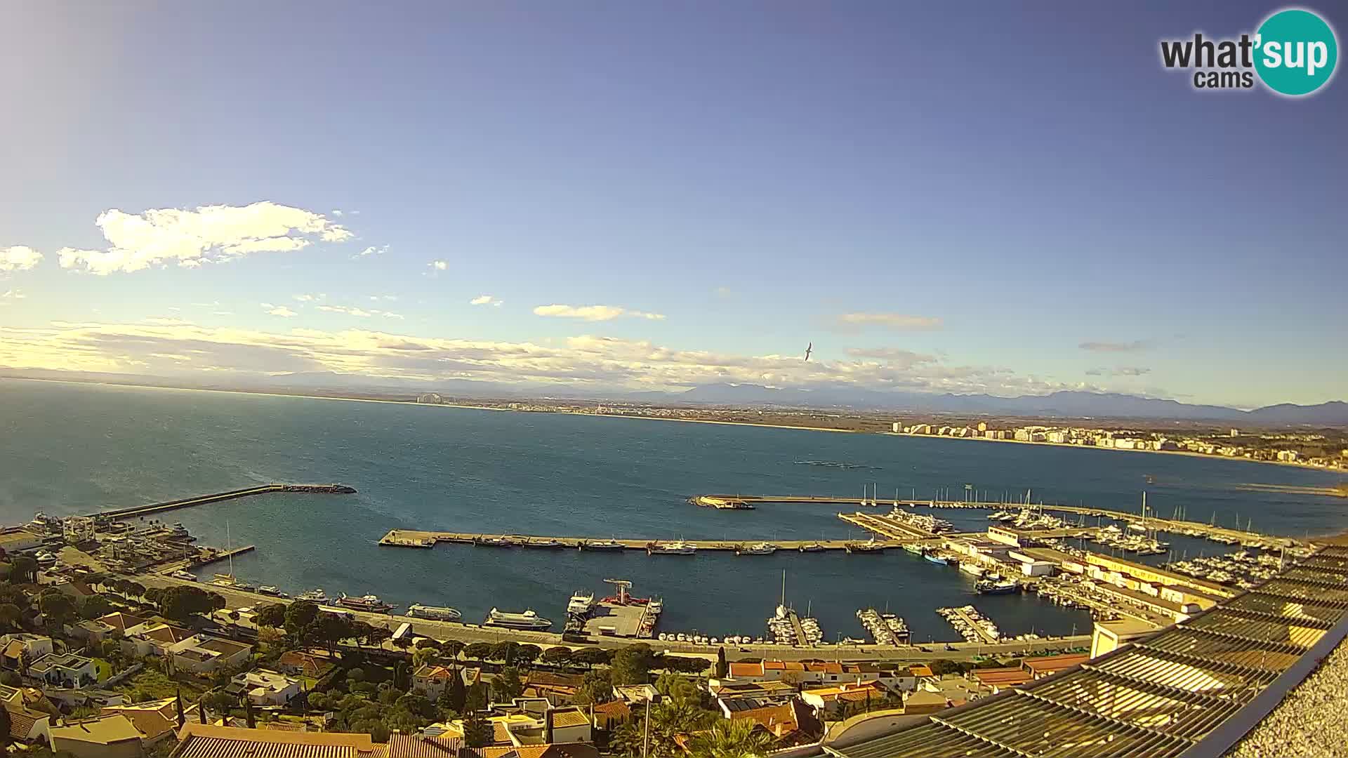 Live cam Port of Roses – Costa Brava