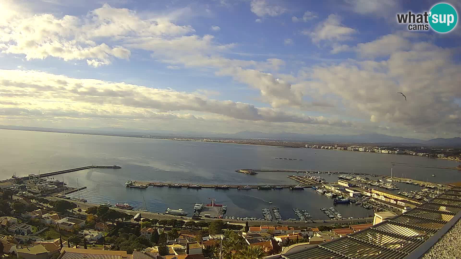 Live cam Port of Roses – Costa Brava