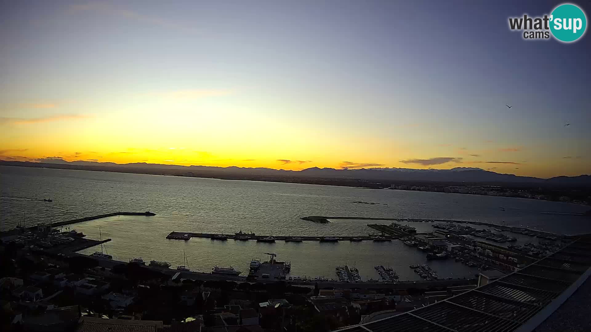 Live cam Port of Roses – Costa Brava