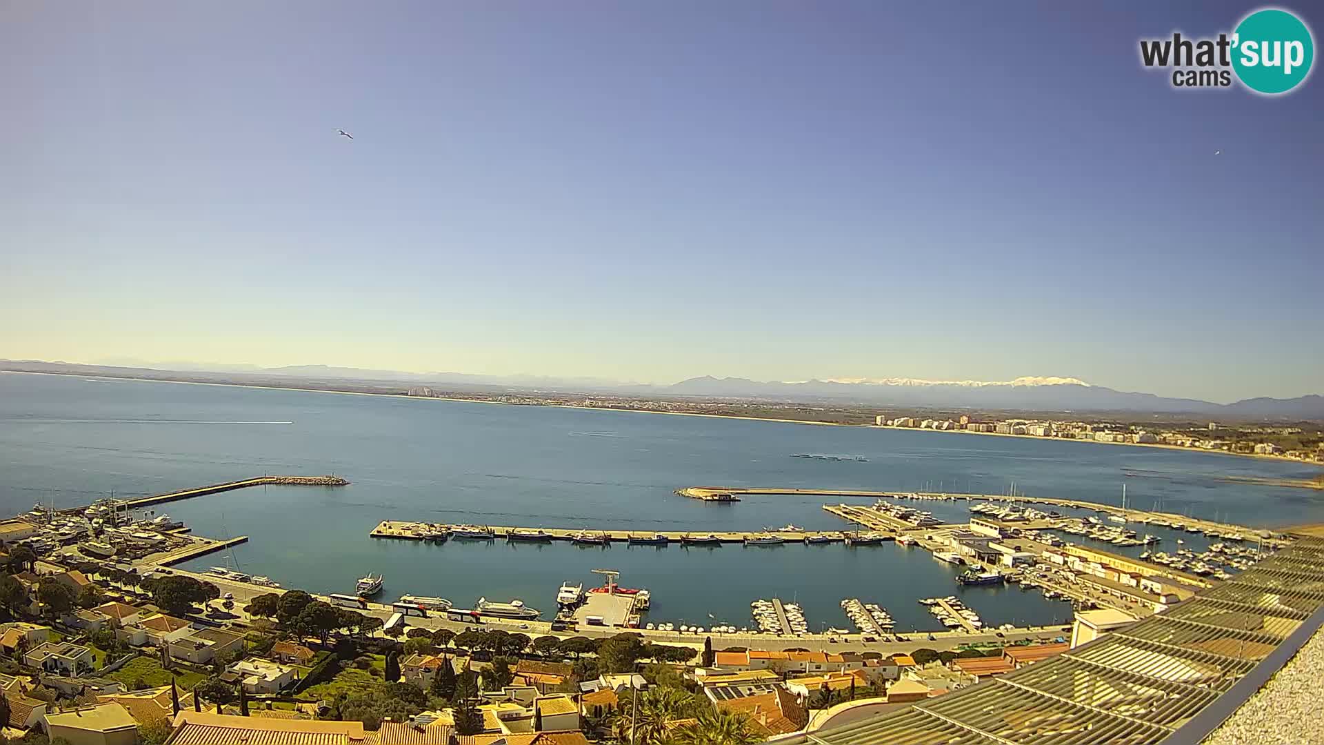 Live cam Port of Roses – Costa Brava