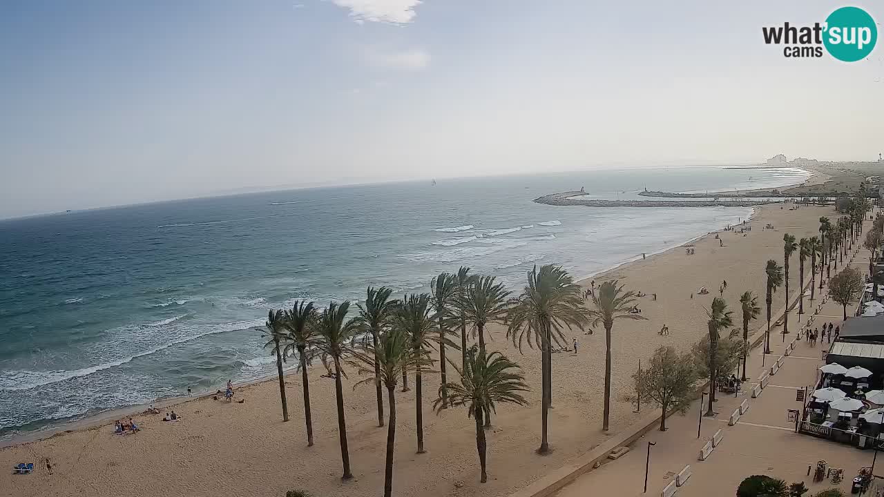 Kamera v Živo Roses plaža – pogled s hotela Montecarlo