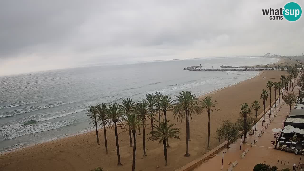 LIVEcam Roses plage – Hotel Montecarlo