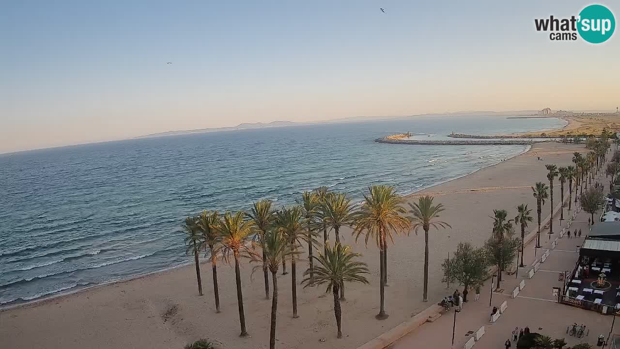 Kamera v Živo Roses plaža – pogled s hotela Montecarlo