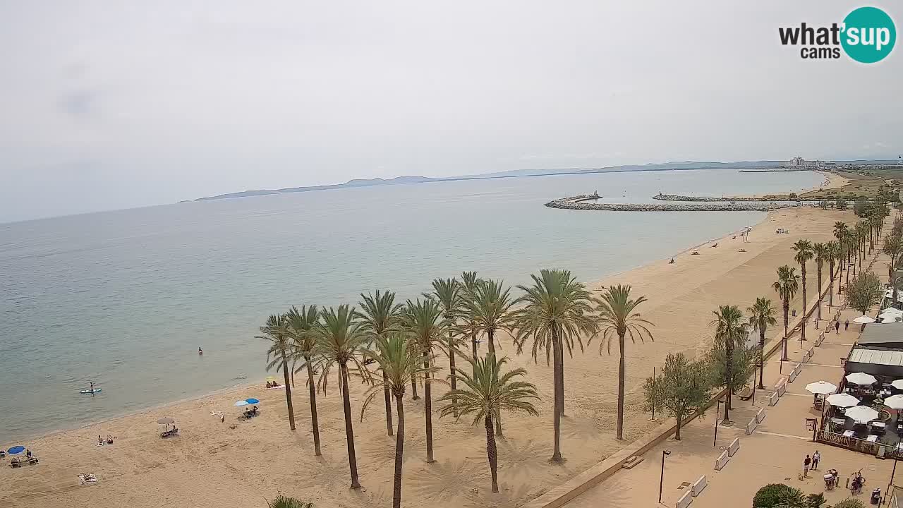 Webcam Roses Strand – Hotel Montecarlo