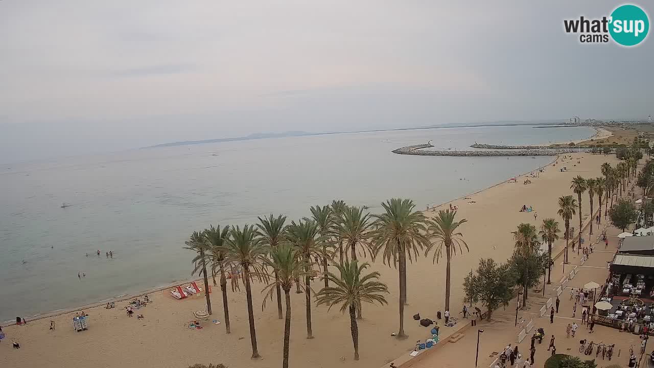 Kamera v Živo Roses plaža – pogled s hotela Montecarlo