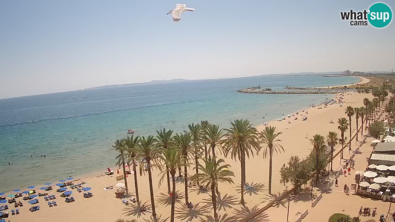Webcam Roses Strand – Hotel Montecarlo