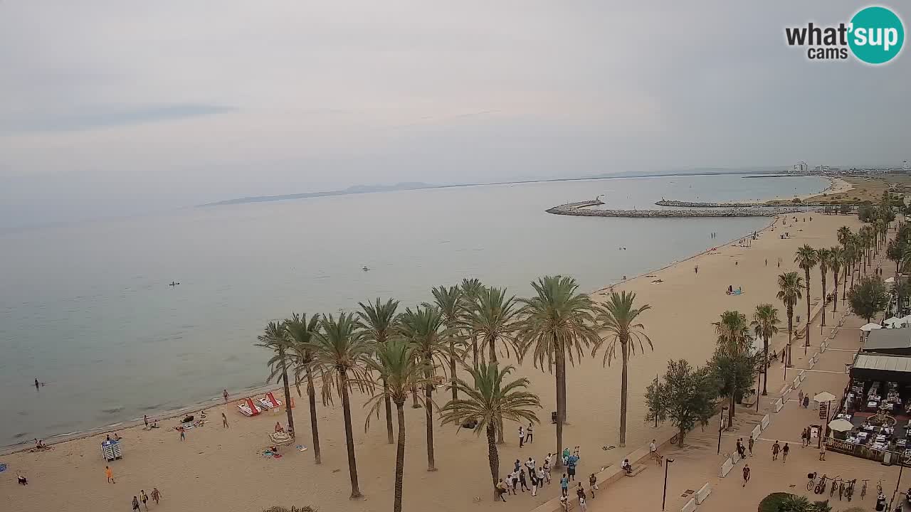 Webcam Roses Strand – Hotel Montecarlo