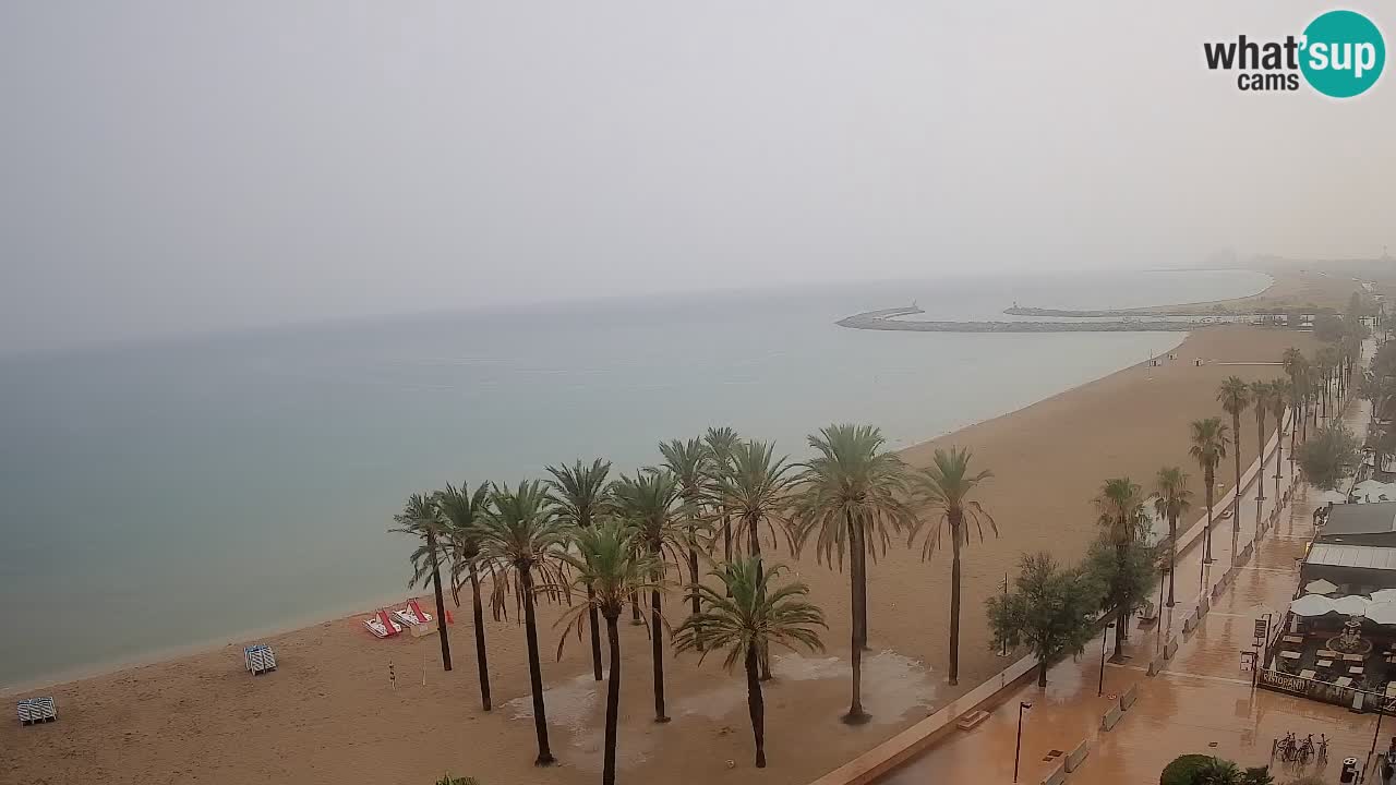 Webcam Roses Strand – Hotel Montecarlo