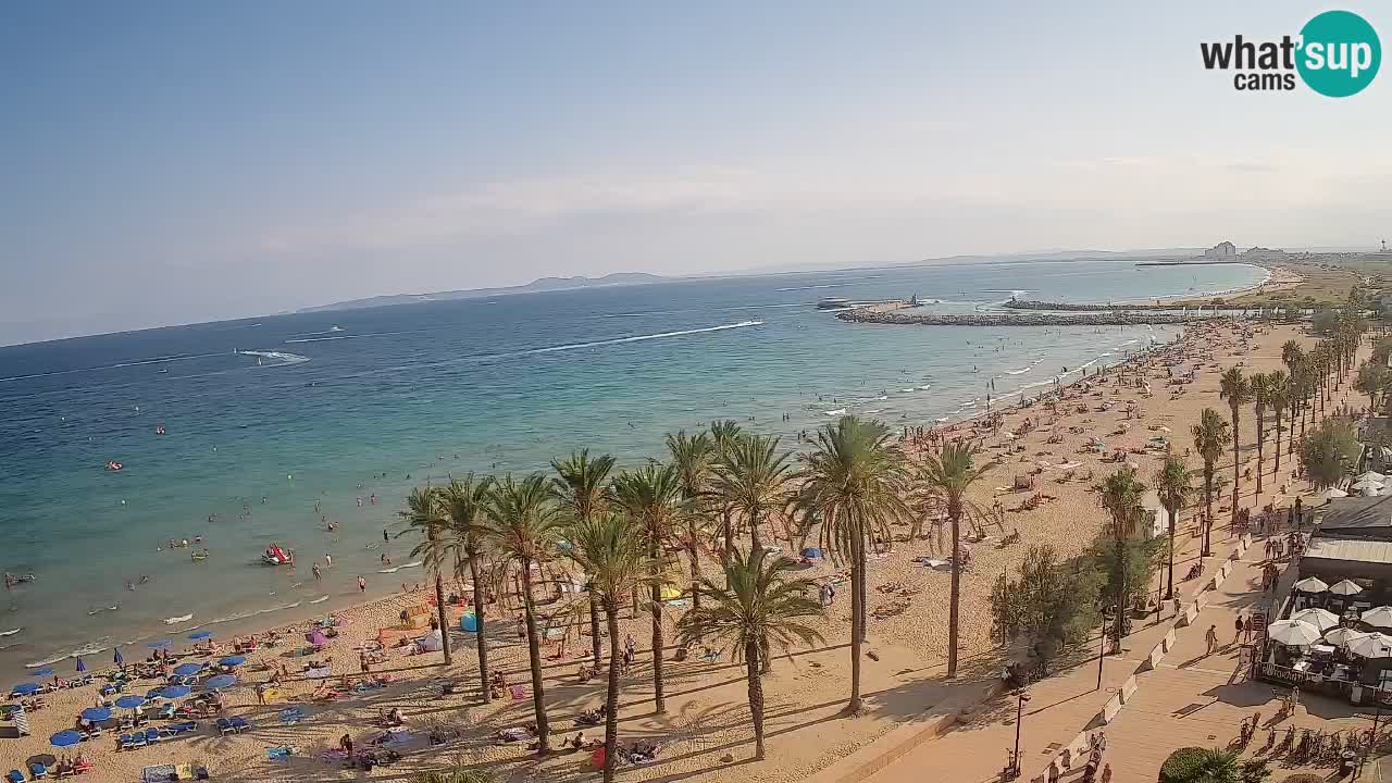 Webcam Roses Strand – Hotel Montecarlo
