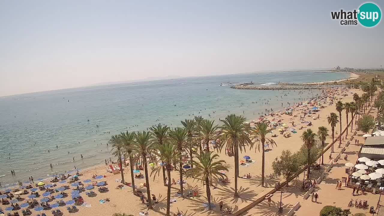 Kamera v Živo Roses plaža – pogled s hotela Montecarlo