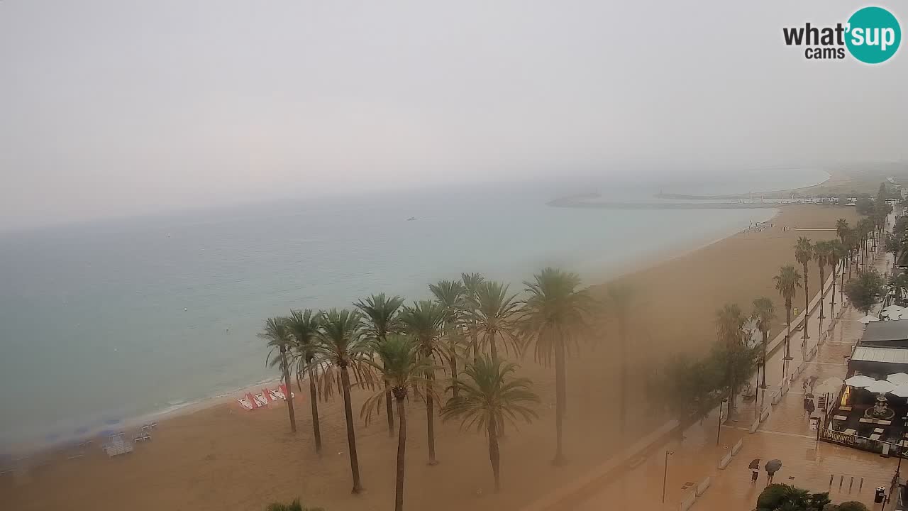 Webcam Live Roses spiaggia – Hotel MonteCarlo