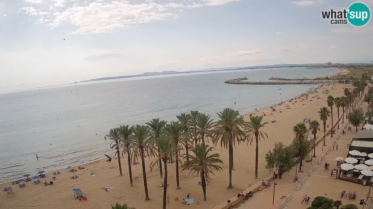 Kamera v Živo Roses plaža – pogled s hotela Montecarlo