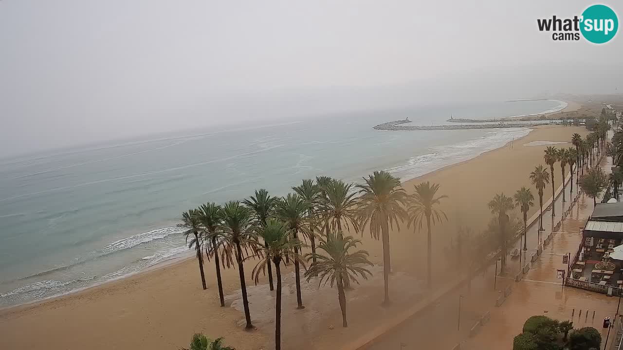 Kamera v Živo Roses plaža – pogled s hotela Montecarlo