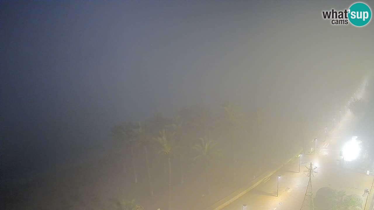 Kamera v Živo Roses plaža – pogled s hotela Montecarlo