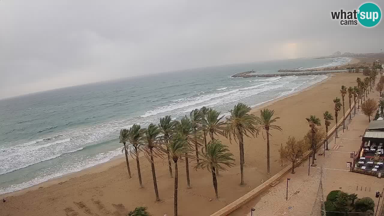 Webcam Live Roses spiaggia – Hotel MonteCarlo