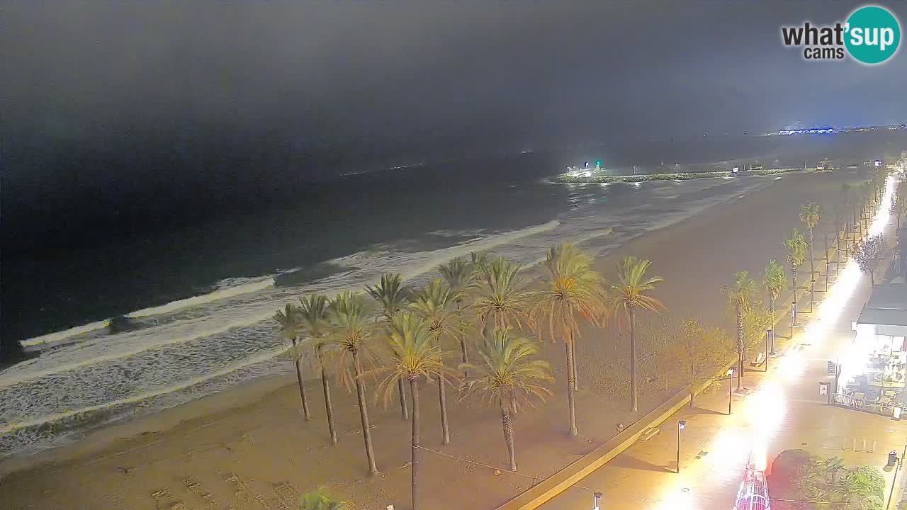 Kamera v Živo Roses plaža – pogled s hotela Montecarlo