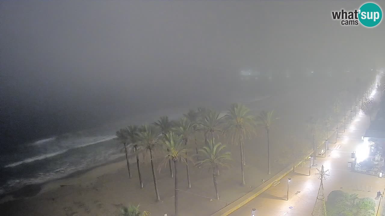 LIVEcam Roses plage – Hotel Montecarlo