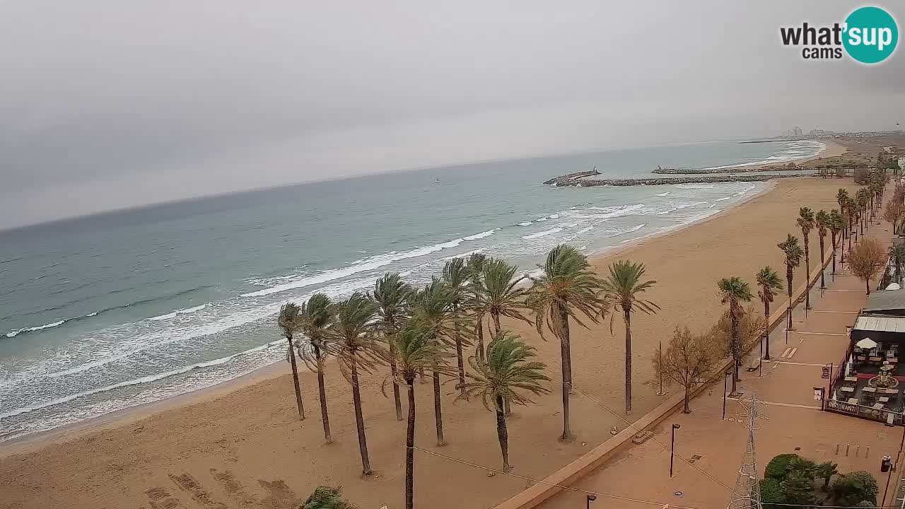 Kamera v Živo Roses plaža – pogled s hotela Montecarlo
