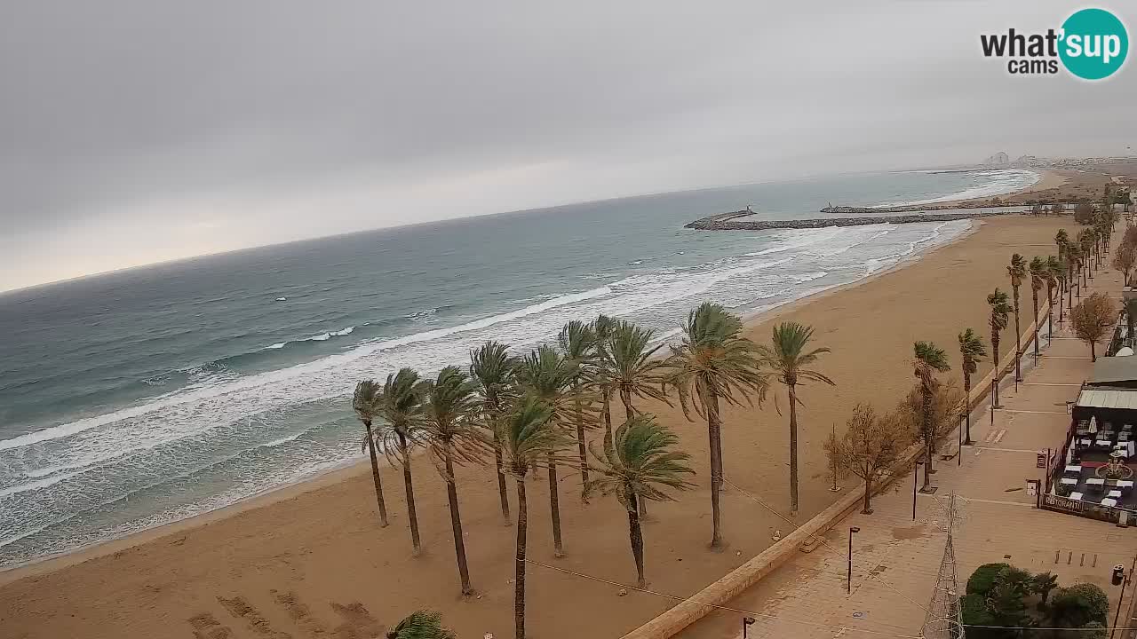 Webcam Roses Strand – Hotel Montecarlo