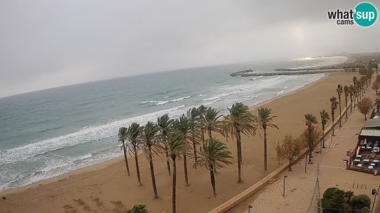 Webcam Roses Strand – Hotel Montecarlo