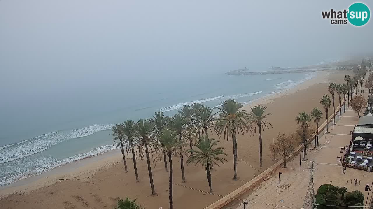 Webcam Roses Strand – Hotel Montecarlo