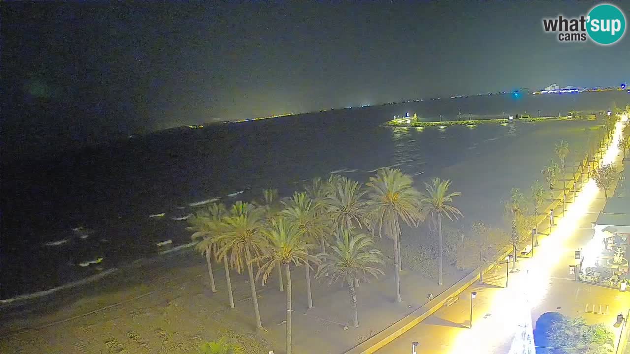 Kamera v Živo Roses plaža – pogled s hotela Montecarlo