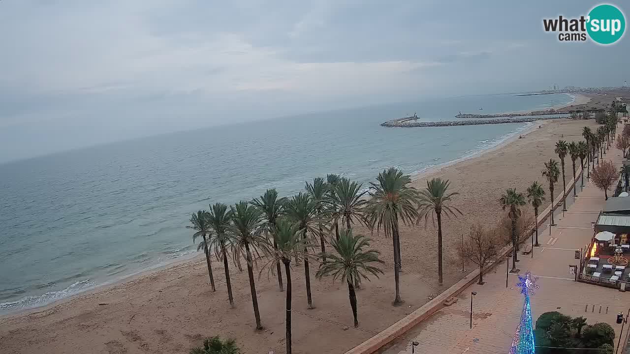 Webcam Roses Strand – Hotel Montecarlo