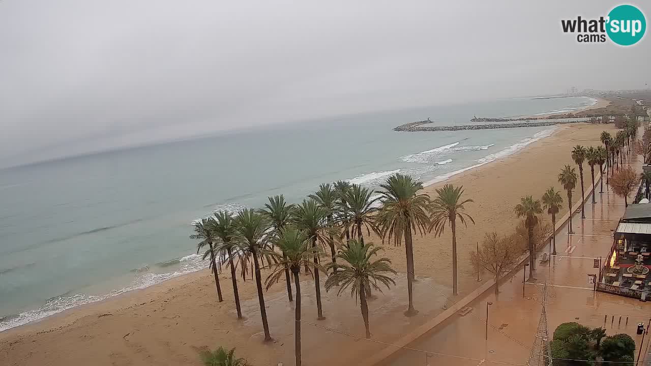 LIVEcam Roses plage – Hotel Montecarlo