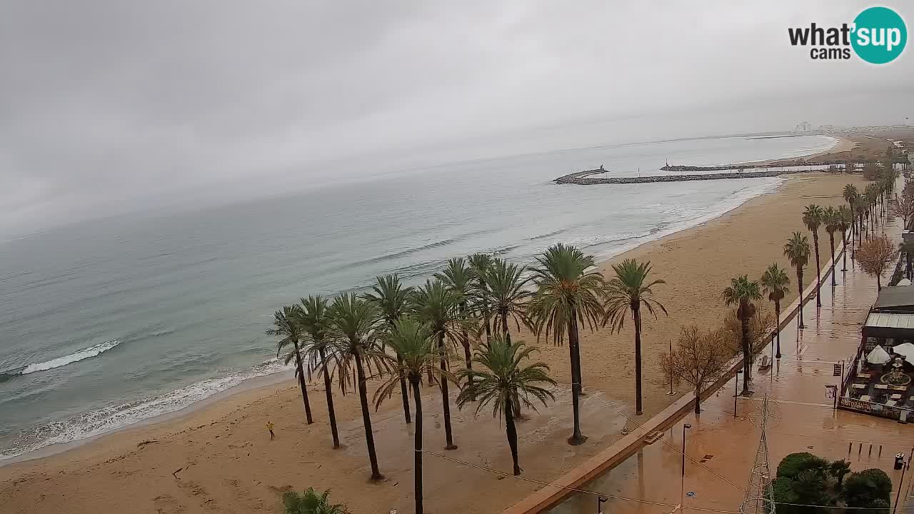 LIVEcam Roses plage – Hotel Montecarlo