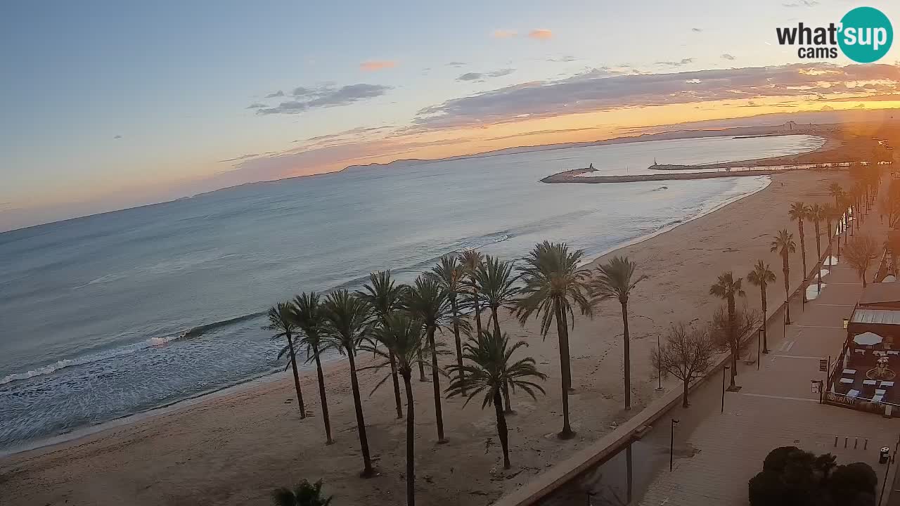 Webcam Roses Strand – Hotel Montecarlo