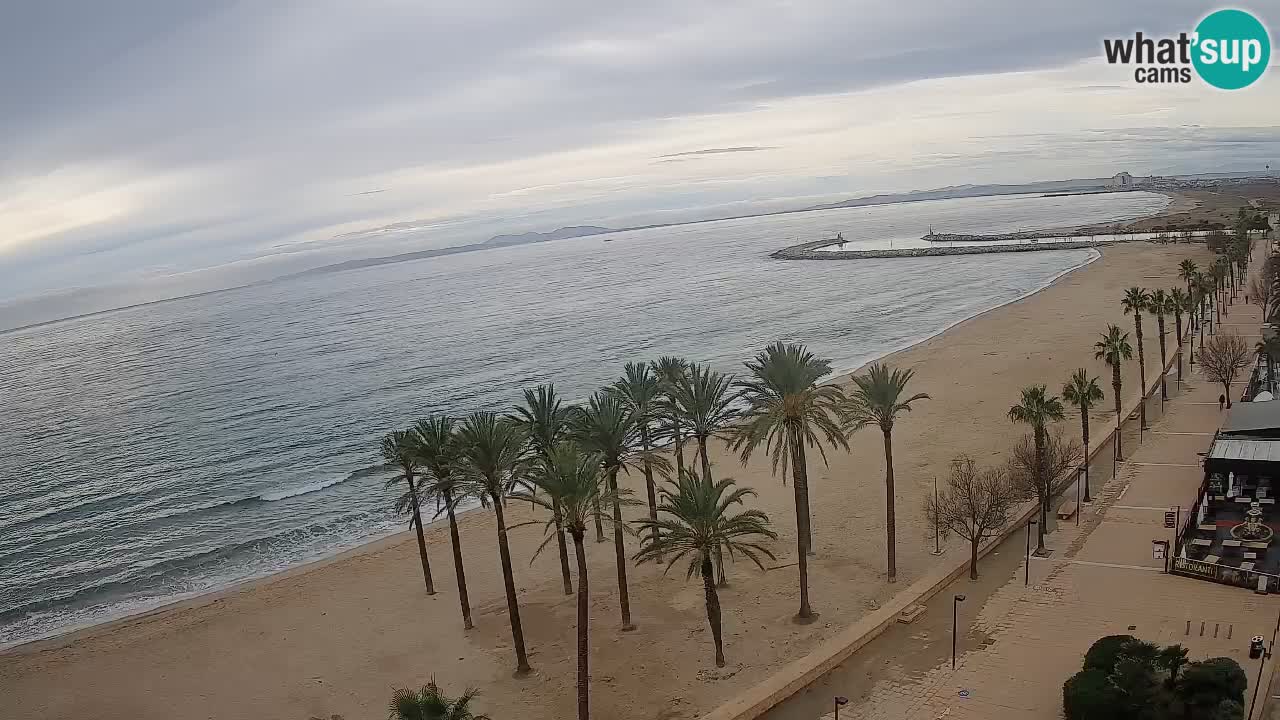 Webcam Roses Strand – Hotel Montecarlo
