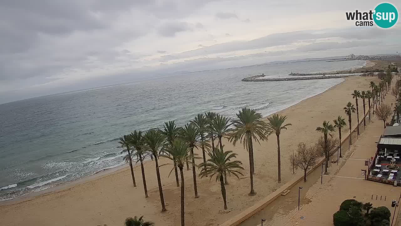 Webcam Roses Strand – Hotel Montecarlo