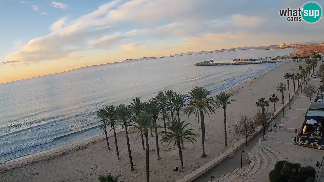 Kamera v Živo Roses plaža – pogled s hotela Montecarlo