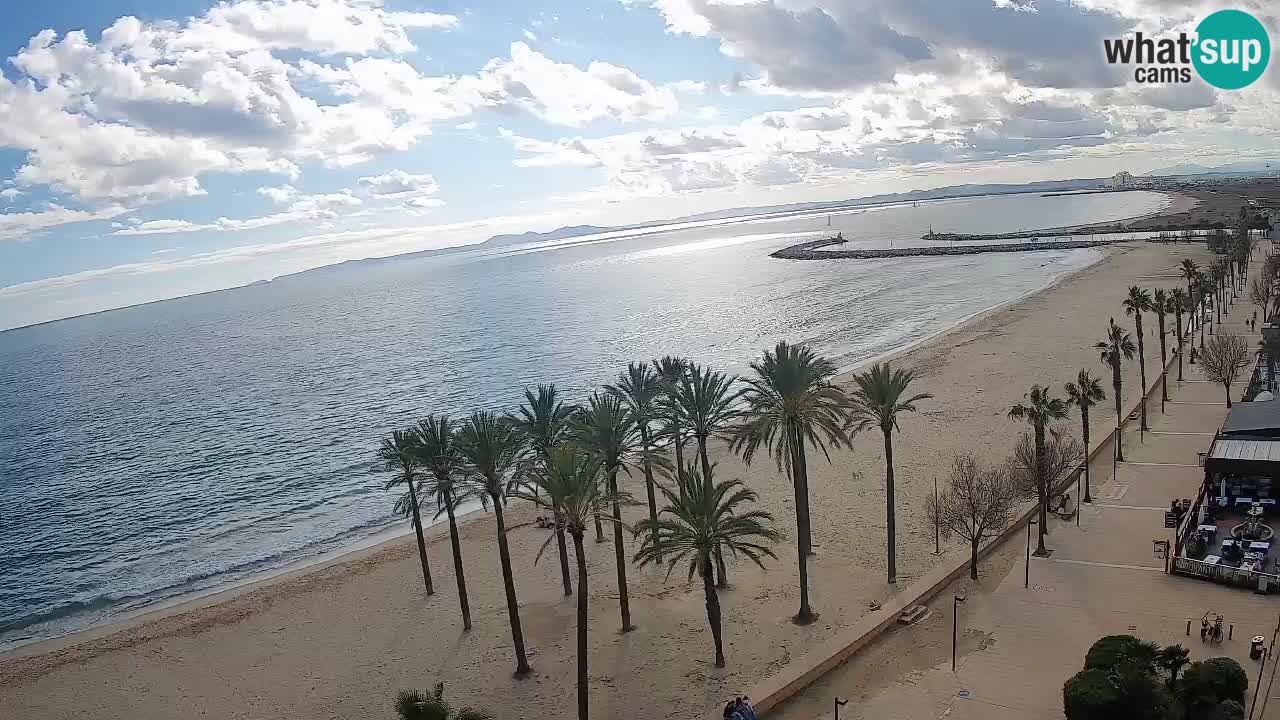 Webcam Roses Strand – Hotel Montecarlo