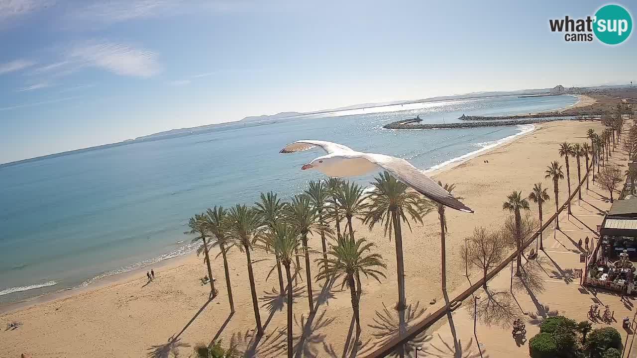 Webcam Roses Strand – Hotel Montecarlo