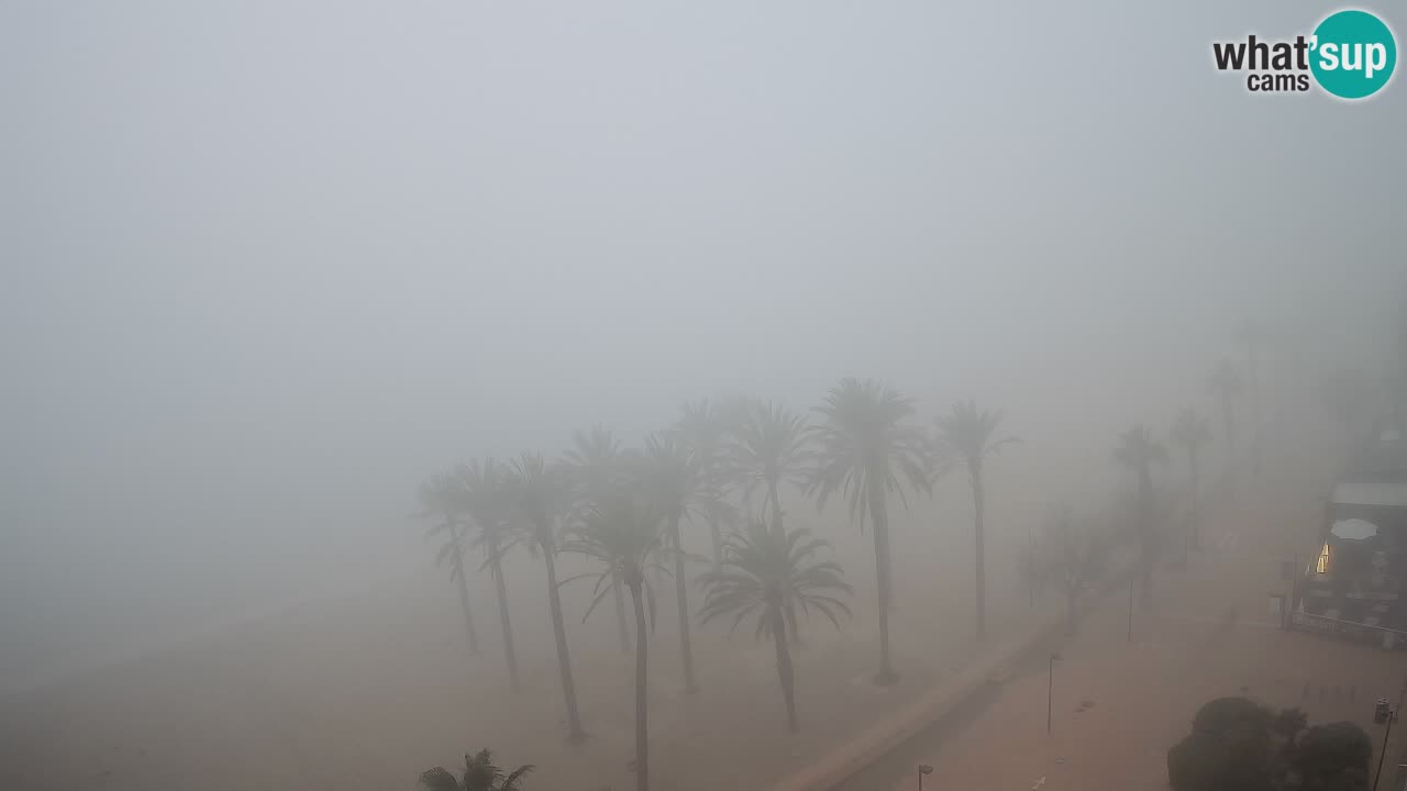 Webcam Roses Strand – Hotel Montecarlo