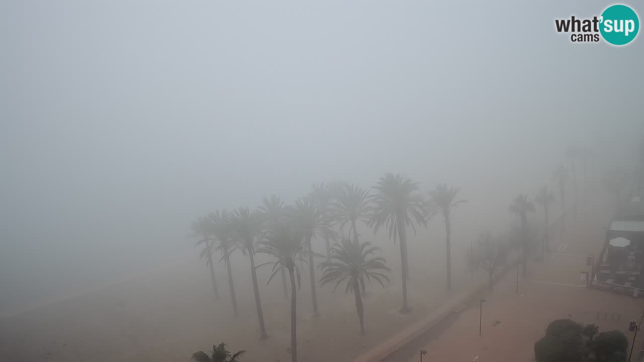 LIVEcam Roses plage – Hotel Montecarlo