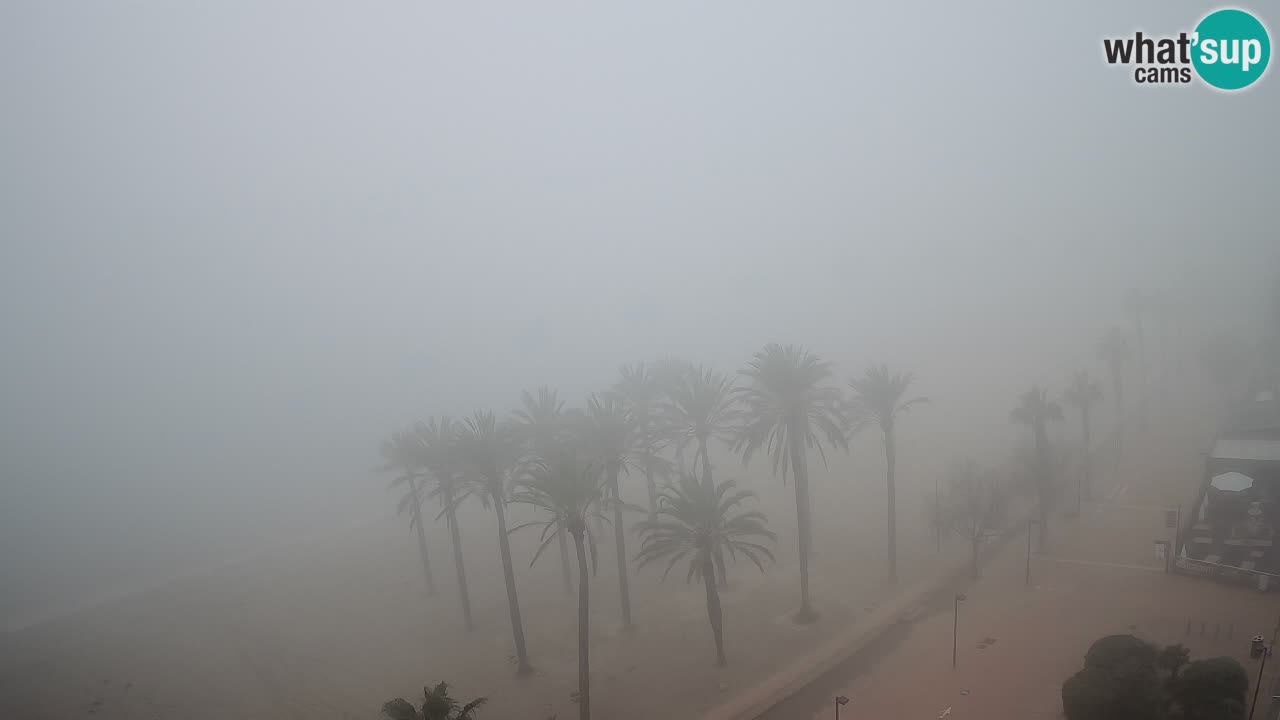 LIVEcam Roses plage – Hotel Montecarlo