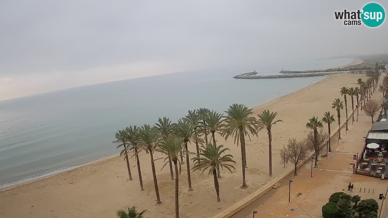 Webcam Roses Strand – Hotel Montecarlo
