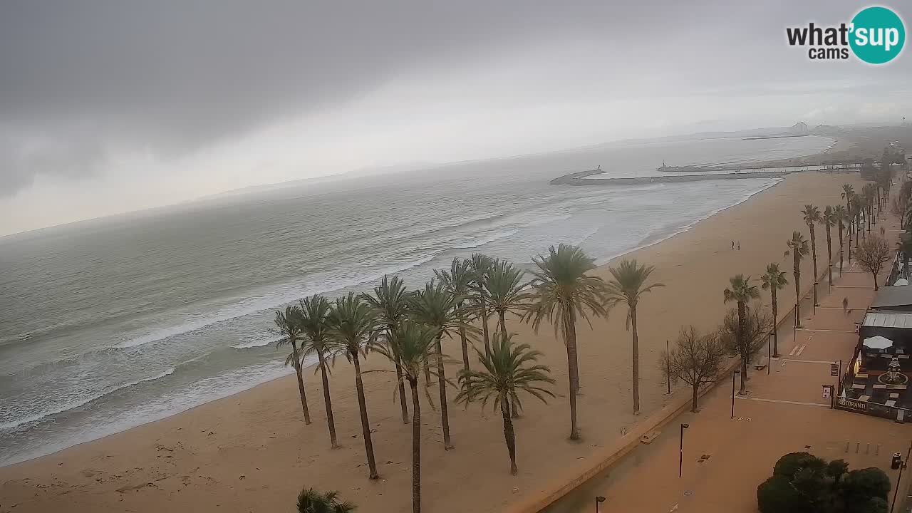 Kamera v Živo Roses plaža – pogled s hotela Montecarlo