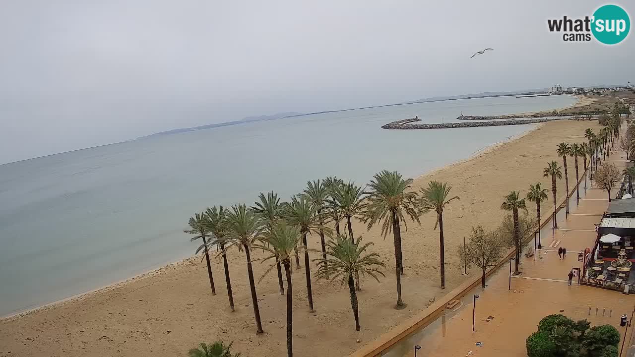 LIVEcam Roses plage – Hotel Montecarlo