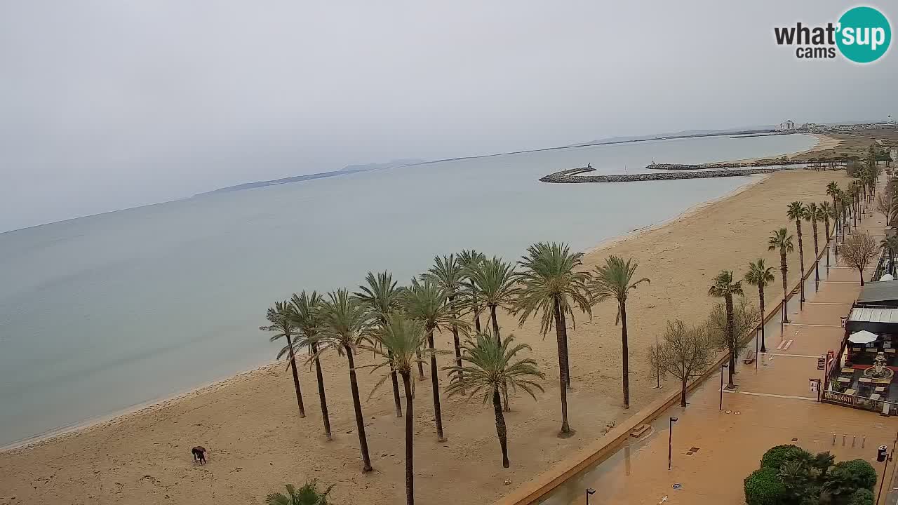 LIVEcam Roses plage – Hotel Montecarlo