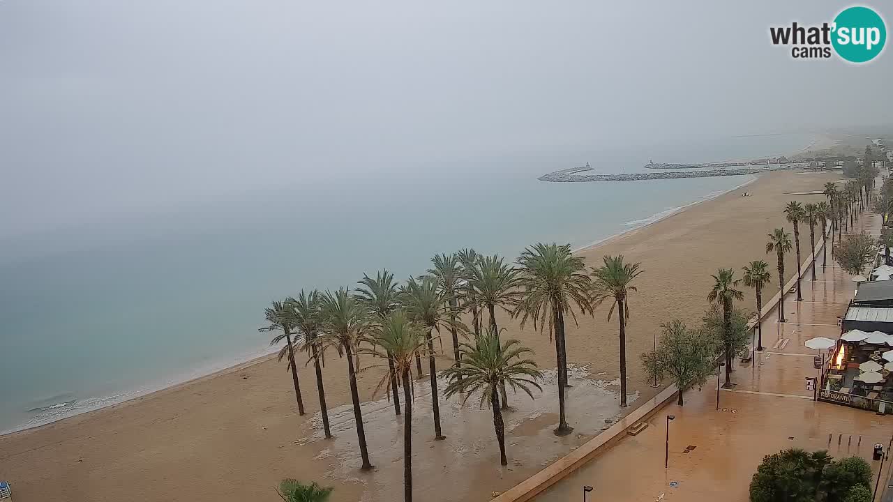 Webcam Roses Strand – Hotel Montecarlo