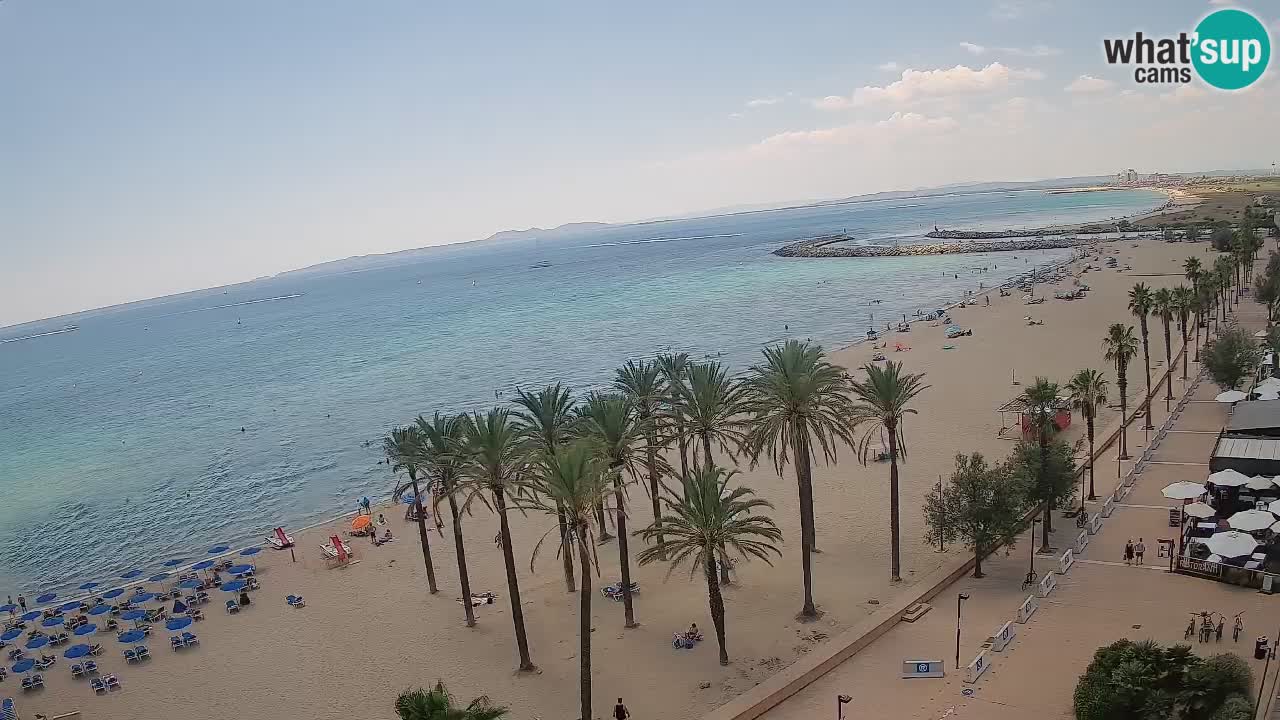 Webcam Roses Strand – Hotel Montecarlo